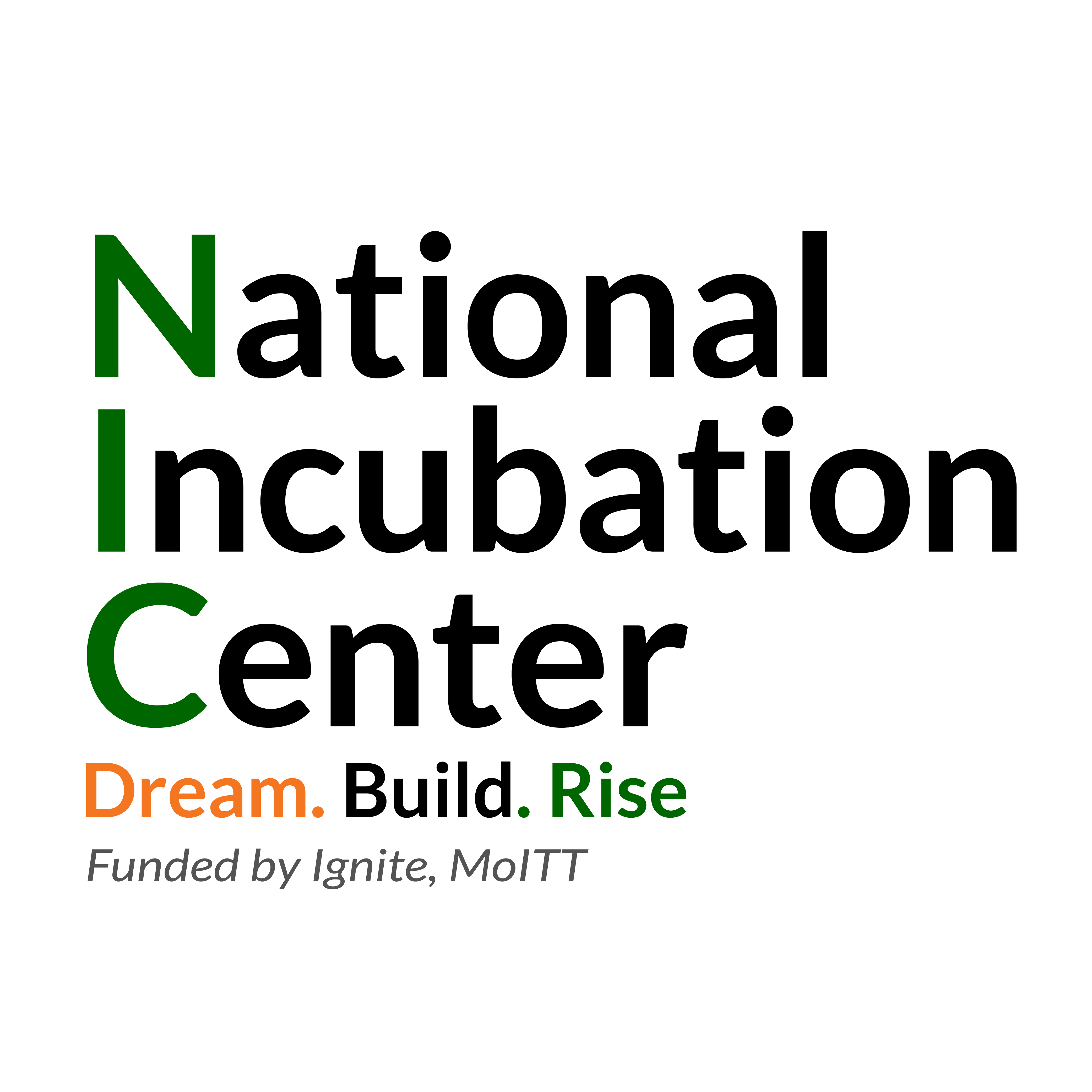 NIC logo-01